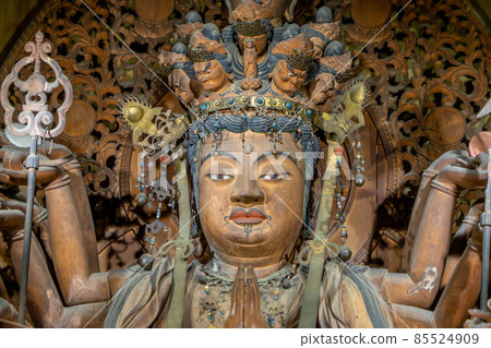 Tsubosakatera 85524909