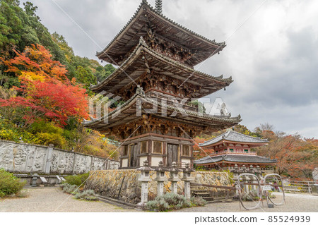 Tsukasakiji 85524939