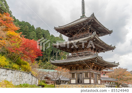 Tsukasakiji 85524940