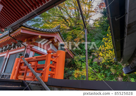 Tsukasakiji 85525028