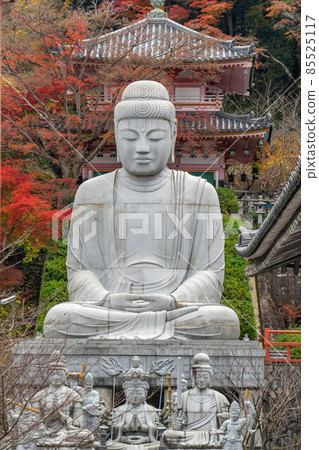 Tsubosakatera 85525117