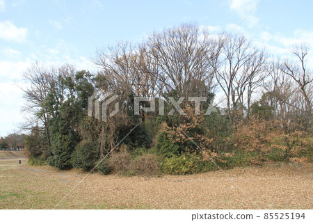 大阪高月今城塚古墳的冬景 85525194