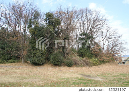 Winter scenery of Imashirozuka Kofun in Takatsuki, Osaka 85525197