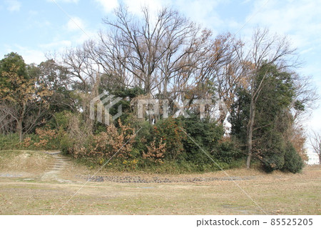 大阪高月今城塚古墳的冬景 85525205