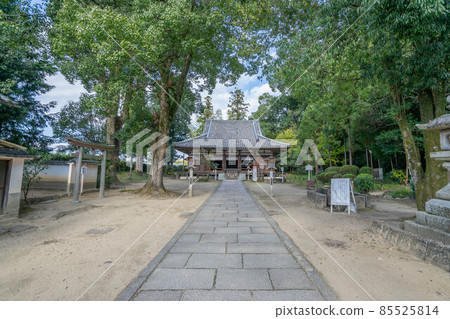 若宮公司 若宮公司 85525814