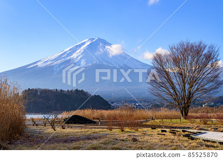 Clear sky and magnificent Mt. Fuji / Lake Kawaguchi 85525870