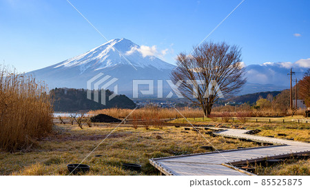 Clear sky and magnificent Mt. Fuji / Lake Kawaguchi 85525875