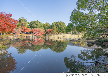 奈良公園 奈良公園 85526102