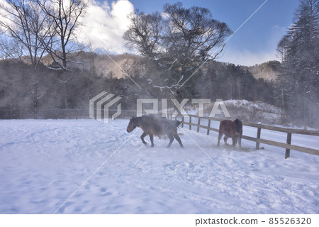 雪樹相馬之裡 85526320