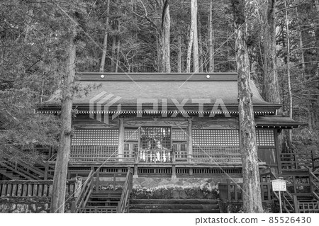 諏訪大社 諏訪大社 85526430