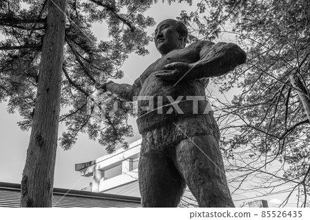 Suwa Taisha Shrine 85526435