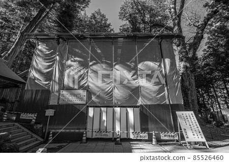 諏訪大社 85526460