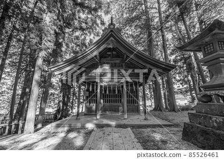 諏訪大社 85526461