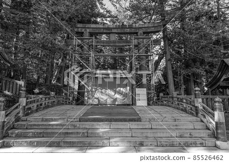 諏訪大社 諏訪大社 85526462