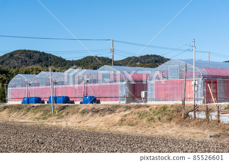 農業溫室(關東冬季拍攝) 農業溫室(關東冬季拍攝) 85526601