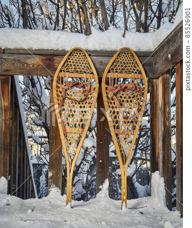 Classic wooden snowshoes in a backyard Classic wooden snowshoes in a backyard 85526901
