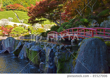 Autumn leaves in Keishuen, Takeo City, Saga Prefecture 85527006