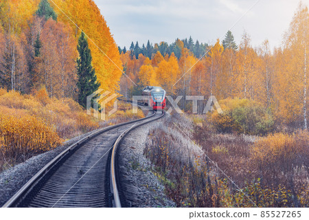 Passenger diesel local train moves to Sortavala at autumn day time. Karelia. 85527265