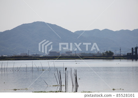 從兒島湖眺望玉野市八浜 從兒島湖眺望玉野市八浜 85528101