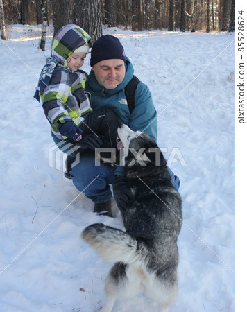 Man Father and Son Aqutive Weekend Dog Husky in Winter Forest Man Father and Son Aqutive Weekend Dog Husky in Winter Forest 85528624