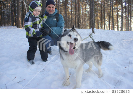 Pets happy husky dog father and son walk in the winter forest Pets happy husky dog father and son walk in the winter forest 85528625