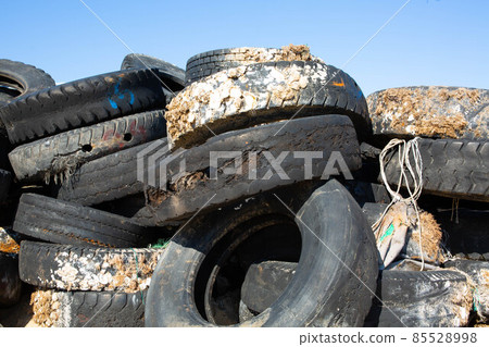 pe 泰國 6 85528998