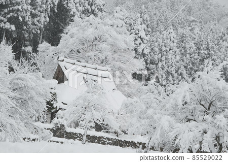 Snowy Miyama no Sato 85529022