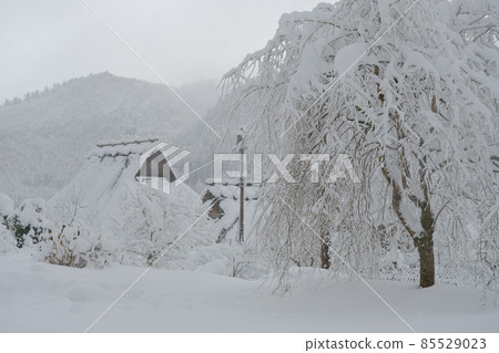 白雪皚皚的美山之裡 85529023