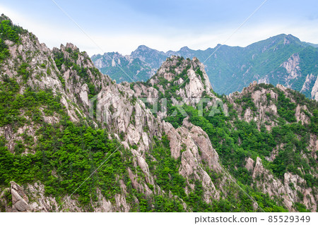 江原道雪嶽山萬物山 江原道雪嶽山萬物山 85529349