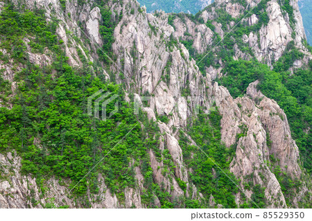 Manmulsang, Seoraksan, Gangwon-do Manmulsang, Seoraksan, Gangwon-do 85529350
