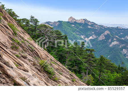 從權金城看到的達馬峰和雪嶽山 85529357