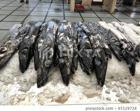 Black cutlass fish sold in the market of Portugal's "Madeira Islands". 85529728
