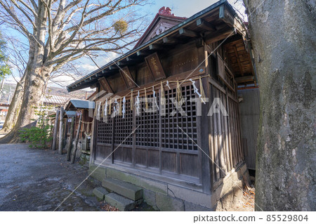 Hachijo Shrine Hachijo Shrine 85529804