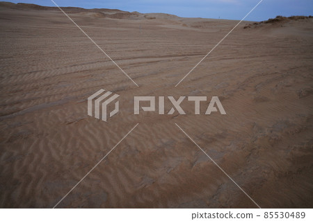 Tottori Sand Dunes full of nature Tottori Sand Dunes full of nature 85530489