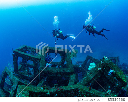 Underwater photograph 85530668