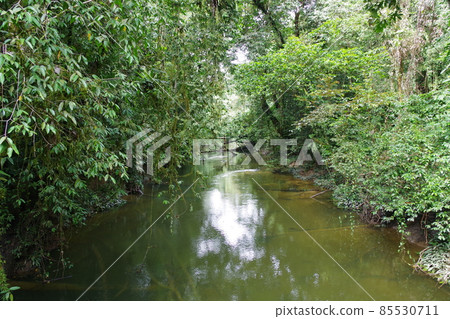 姆魯山國家公園，馬來西亞婆羅洲島的世界遺產 85530711