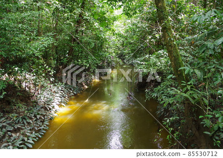 姆魯山國家公園，馬來西亞婆羅洲島的世界遺產 85530712