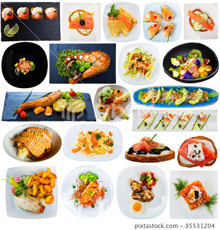 Collection of dishes with salmon Collection of dishes with salmon 85531204