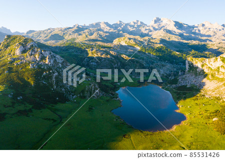 Mountain lakes of Covadonga 85531426