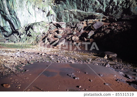 位於馬來西亞婆羅洲的世界遺產穆魯山國家公園的鹿洞 85531519