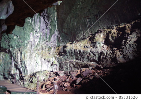 位於馬來西亞婆羅洲的世界遺產穆魯山國家公園的鹿洞 85531520