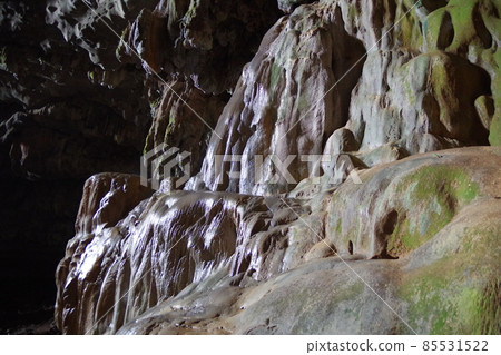 位於馬來西亞婆羅洲的世界遺產穆魯山國家公園的鹿洞 85531522