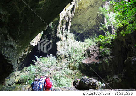 Deer Cave in Gunung Mulu National Park, a World Heritage Site in Borneo, Malaysia 85531550
