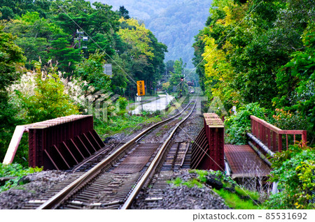 從地方線的鐵路道口等火車 從地方線的鐵路道口等火車 85531692
