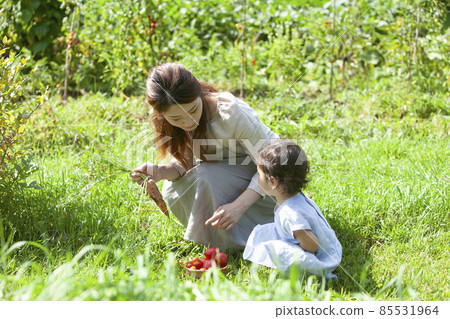 父母和孩子們享受廚房花園 父母和孩子們享受廚房花園 85531964