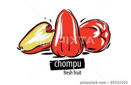 Drawn vector chompu on a white background 85532101