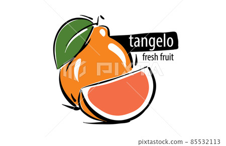 Drawn vector tangelo on a white background 85532113