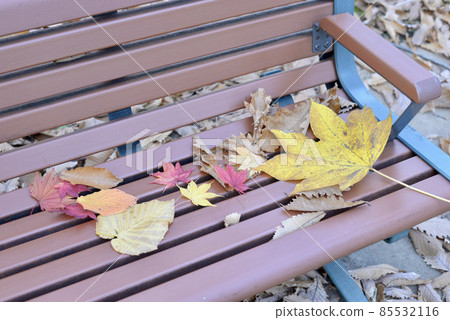 Fallen leaves on the bench Fallen leaves on the bench 85532116