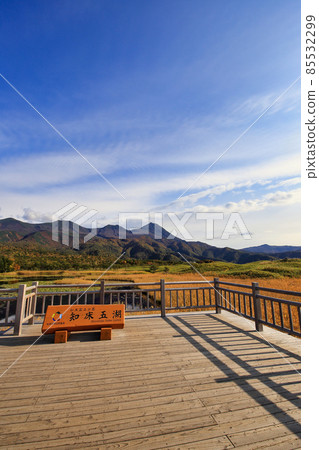 Shiretoko五湖高的樹道路在秋天 85532299