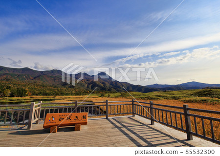 Shiretoko五湖高的樹道路在秋天 Shiretoko五湖高的樹道路在秋天 85532300